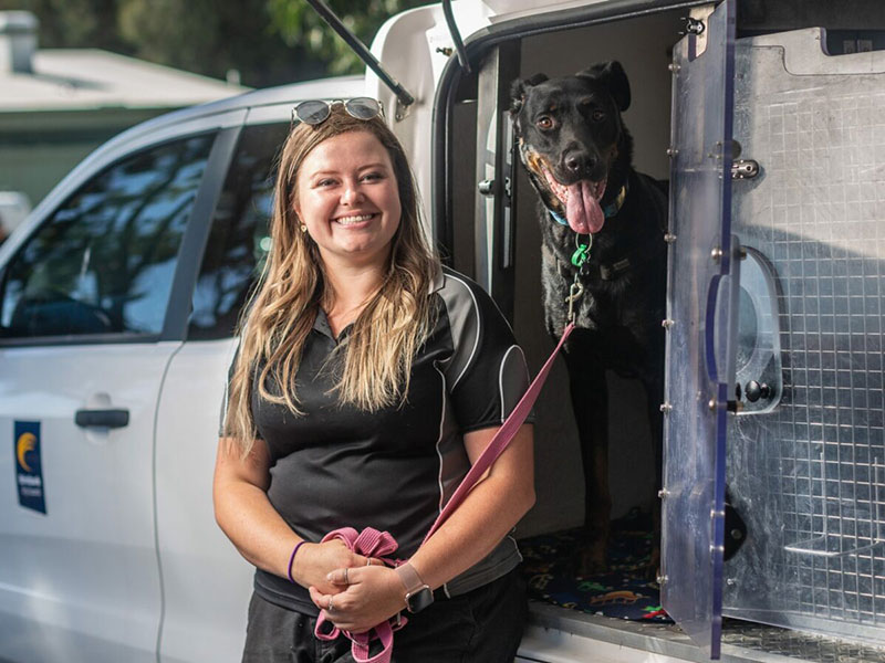 Olivia Gore, a blonde woman wearing a dark grey shirt, smiles and poses with a black mixed breed dog at the back of a car.