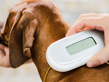 AAR Recovery Enquiry