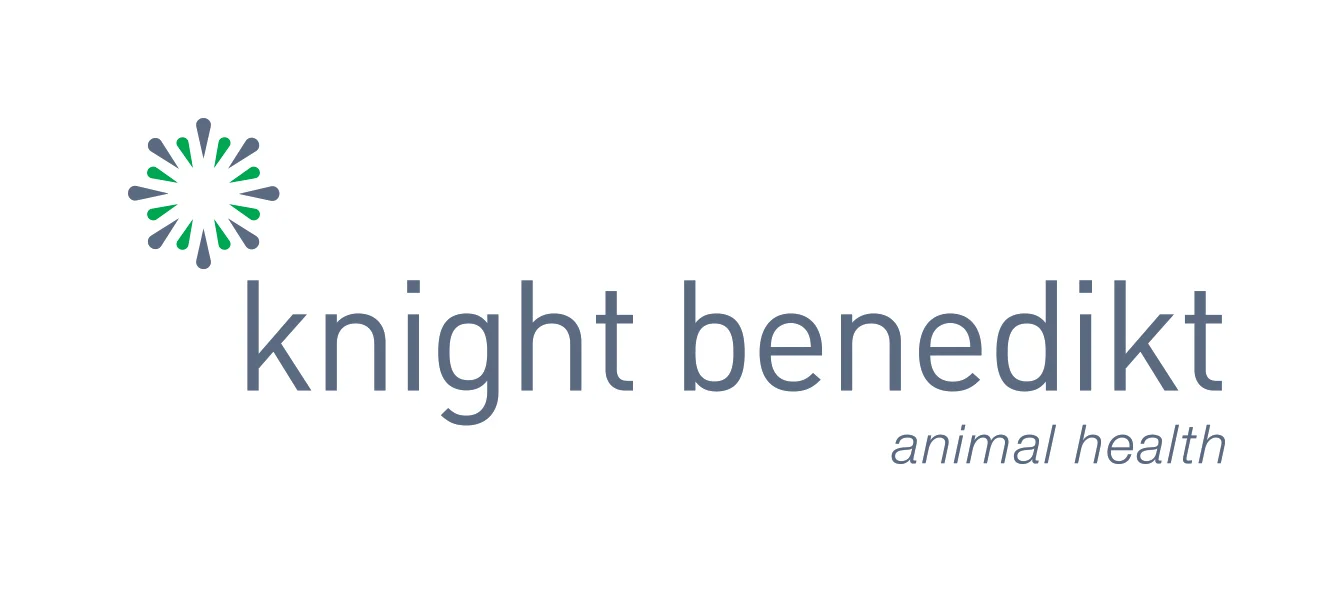 Knight Benedikt logo